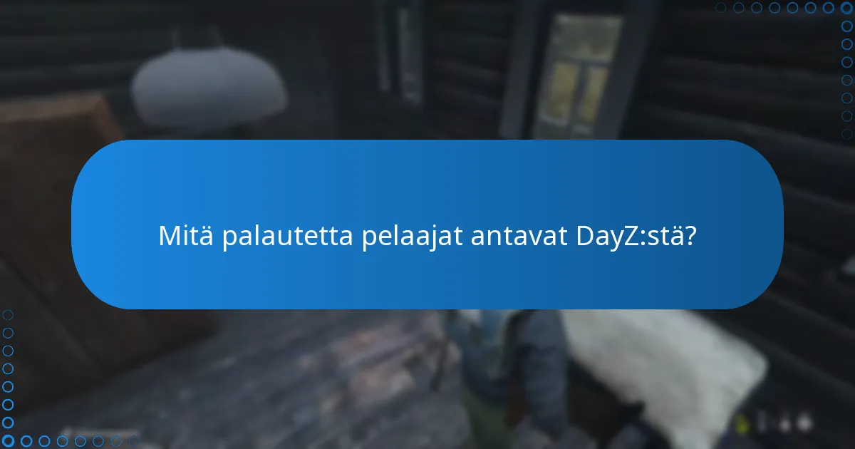 Mitä palautetta pelaajat antavat DayZ:stä?